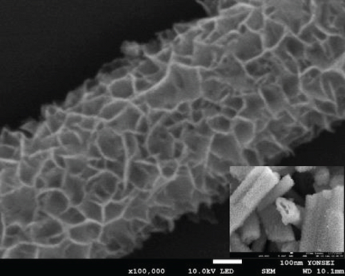 Details are in the caption following the image