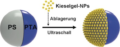 Synthesis of Monodisperse Bi-Compartmentalized Amphiphilic Janus Microparticles for Tailored Assembly at the Oil–Water Interface