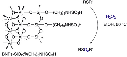 Reusable BNPs-SiO2@(CH2)3NHSO3H-catalysed selective oxidation of sulfides to sulfones