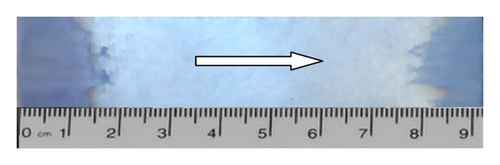 Details are in the caption following the image