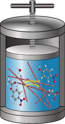 Hydrostatic Pressure Increases the Catalytic Activity of Amyloid Fibril Enzymes