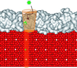 Enhancement of Sorption Processes in the Zeolite H-ZSM5 by Postsynthetic Surface Modification