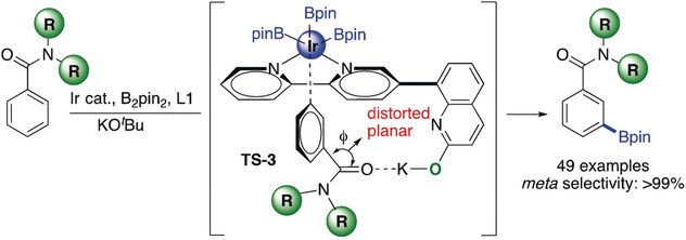 Amide Effects in C−H Activation: Noncovalent Interactions with L-Shaped Ligand for meta Borylation of Aromatic Amides