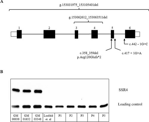 Details are in the caption following the image Details are in the caption following the image