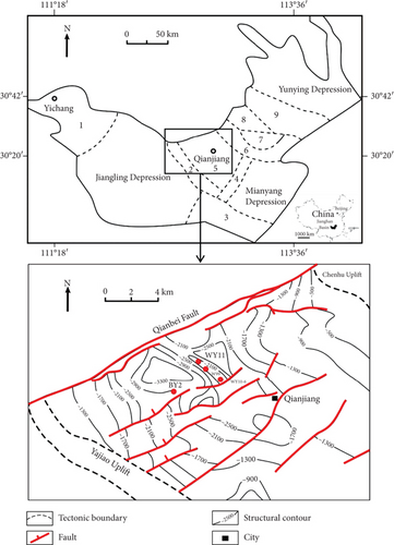 Details are in the caption following the image Details are in the caption following the image