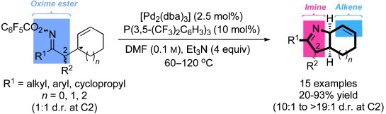 Highly Efficient Narasaka–Heck Cyclizations Mediated by P(3,5-(CF3)2C6H3)3: Facile Access to N-Heterobicyclic Scaffolds