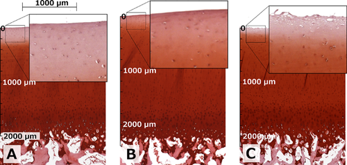 Details are in the caption following the image