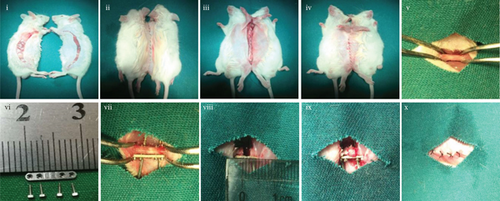 Details are in the caption following the image Details are in the caption following the image