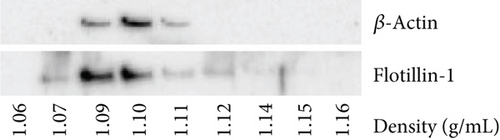 Details are in the caption following the image