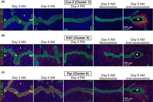 Details are in the caption following the image Details are in the caption following the image