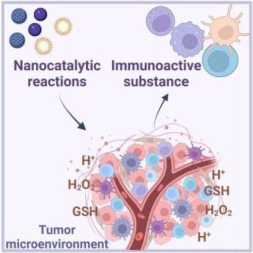 Nanocatalytic Anti-Tumor Immune Regulation