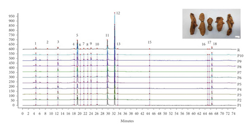 Details are in the caption following the image Details are in the caption following the image