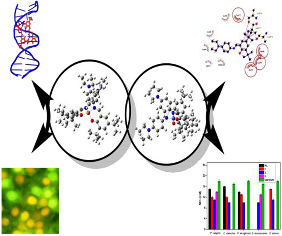 Synthesis, physicochemical characterization and structural studies of new Schiff base ligand and its metal (II) complexes: In silico molecular docking analysis, antimicrobial activity and cytotoxicity