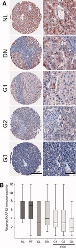 Details are in the caption following the image Details are in the caption following the image