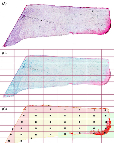 Details are in the caption following the image Details are in the caption following the image