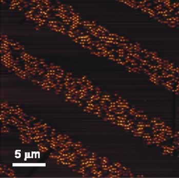 Large-Area, Nanoimprint-Assisted Microcontact Stripping for the Fabrication of Microarrays of Fouling/Nonfouling Nanostructures