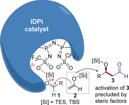 Acetaldehyde Silyl Enol Ethers in Enantioselective Mukaiyama Aldol Reactions: Enzyme-Like Organocatalysis in Action