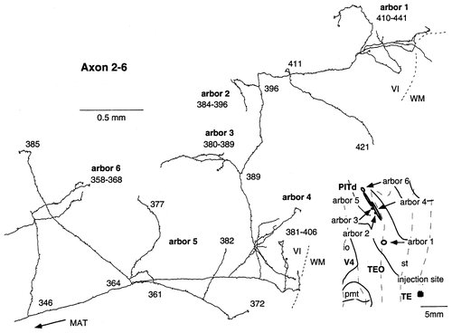 Details are in the caption following the image Details are in the caption following the image
