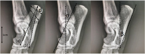 Details are in the caption following the image Details are in the caption following the image