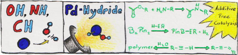 Oxidative Addition of Water, Alcohols, and Amines in Palladium Catalysis