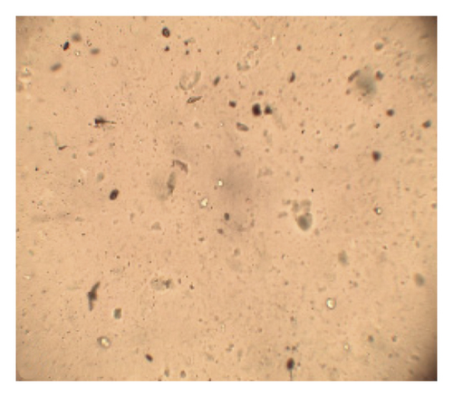 Details are in the caption following the image