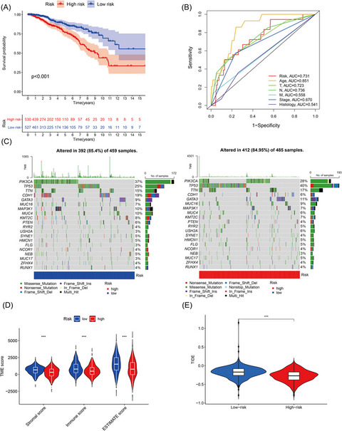 Necroptosis-related lncRNA to establish novel prognostic signature and predict the immunotherapy response in breast cancer