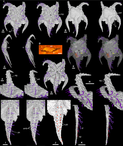 Details are in the caption following the image