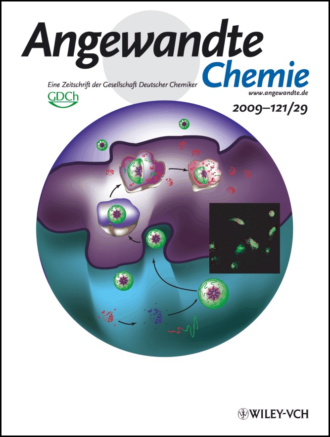 Innentitelbild: Charge-Conversional Polyionic Complex Micelles—Efficient Nanocarriers for Protein Delivery into Cytoplasm (Angew. Chem. 29/2009)