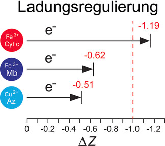 Direct Measurement of Charge Regulation in Metalloprotein Electron Transfer