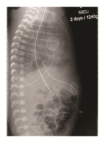 Details are in the caption following the image Details are in the caption following the image