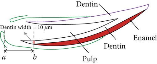 Details are in the caption following the image Details are in the caption following the image