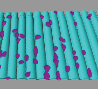 Laser-Assisted Strain Engineering of Thin Elastomer Films to Form Variable Wavy Substrates for Cell Culture