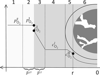 Three-Phase Heterogeneously Catalyzed Oxidative Esterification – Relevance of Oxygen Mass Transport