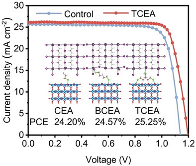 Synergistic Dual-Interface Engineering in Perovskite Solar Cells via Chloramine Hydrochloride Molecular Bridges