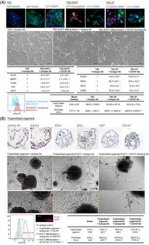 Details are in the caption following the image Details are in the caption following the image