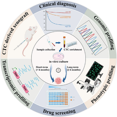 Circulating Tumor Cells Culture: Methods, Challenges, and Clinical Applications
