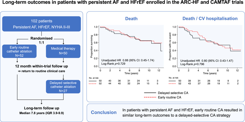 Long-term outcomes following catheter ablation versus medical therapy in patients with persistent atrial fibrillation and heart failure with reduced ejection fraction