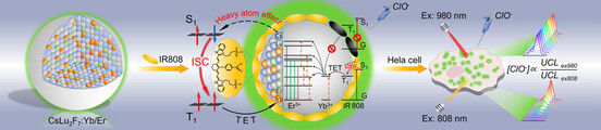 Enhancing Dye-Triplet-Sensitized Upconversion Emission Through the Heavy-Atom Effect in CsLu2F7:Yb/Er Nanoprobes