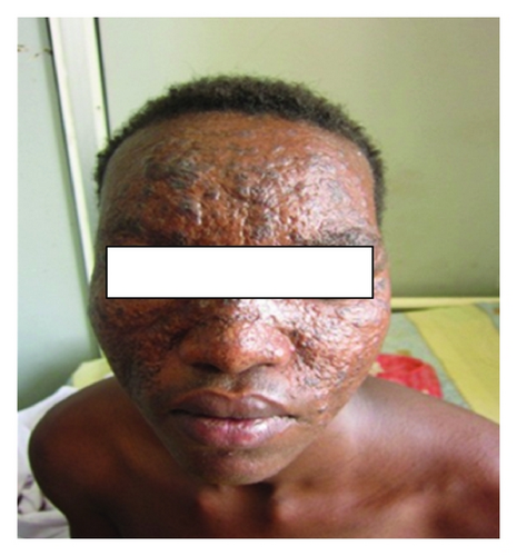Details are in the caption following the image Details are in the caption following the image