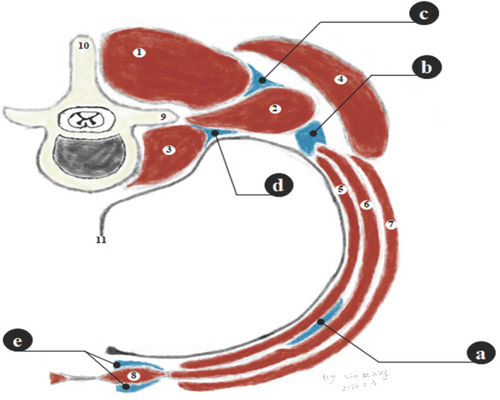 Details are in the caption following the image Details are in the caption following the image