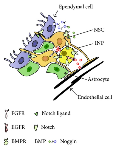 Details are in the caption following the image