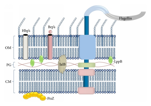Details are in the caption following the image Details are in the caption following the image