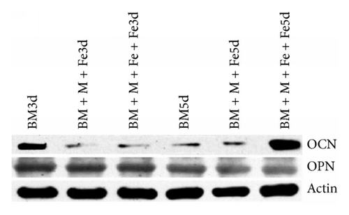 Details are in the caption following the image