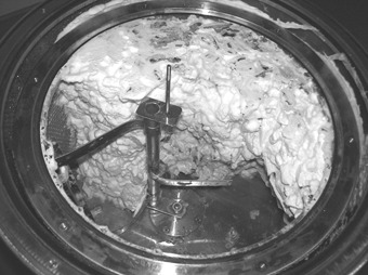 Feststofffermentation von Lignocellulose-Reststoffen mittels Weißfäulepilzen in einem Bioreaktor mit modularem Design