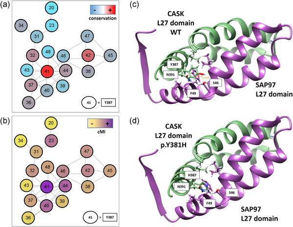 Characterization of intellectual disability and autism comorbidity through gene panel sequencing
