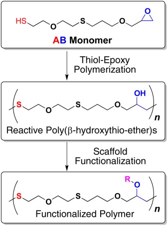 Thiol-epoxy polymerization via an AB monomer: Synthetic access to high molecular weight poly(β-hydroxythio-ether)s