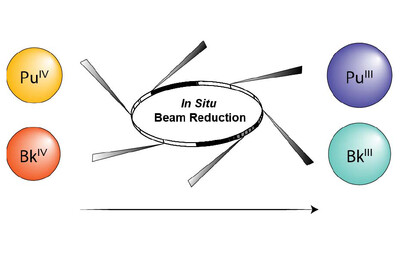 In situ beam reduction of Pu(IV) and Bk(IV) as a route to trivalent transuranic coordination complexes with hydroxypyridinone chelators