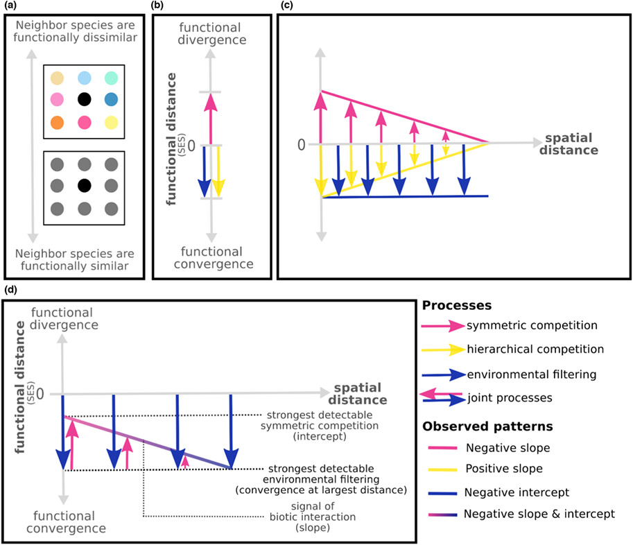 A spatially explicit trait-based approach uncovers changes in assembly processes under warming