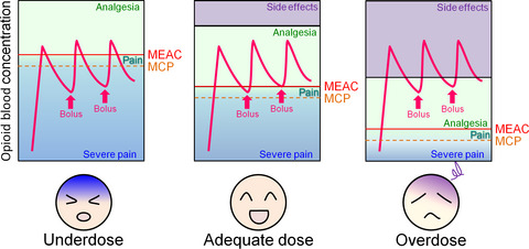 A pharmacogenetics approach to pain management