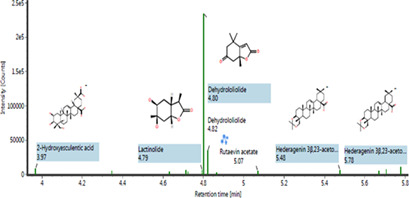 Optimizing Microwave-Assisted Extraction Conditions to Obtain Phenolic-Rich Extract from Chromolaena odorata Leaves